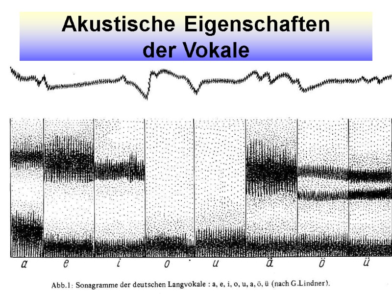 Akustische Eigenschaften  der Vokale